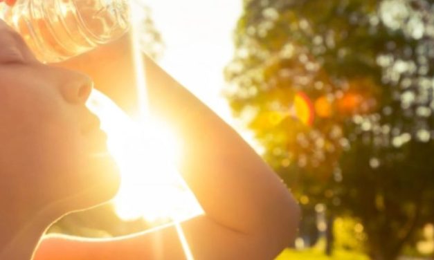 2023 година е најтоплата година досега